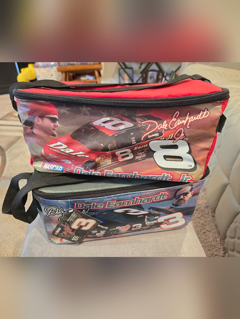 Bundle of EARNHARST SR and JR 10 Can Soft Coolers